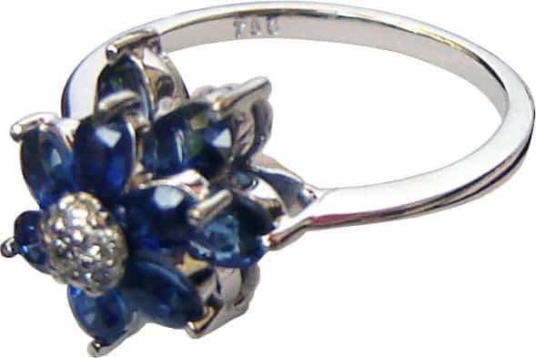 Blue Sapphire and Diamond Ring